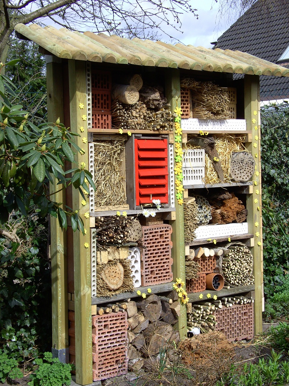 insect house insect hotel insect asylum free photo