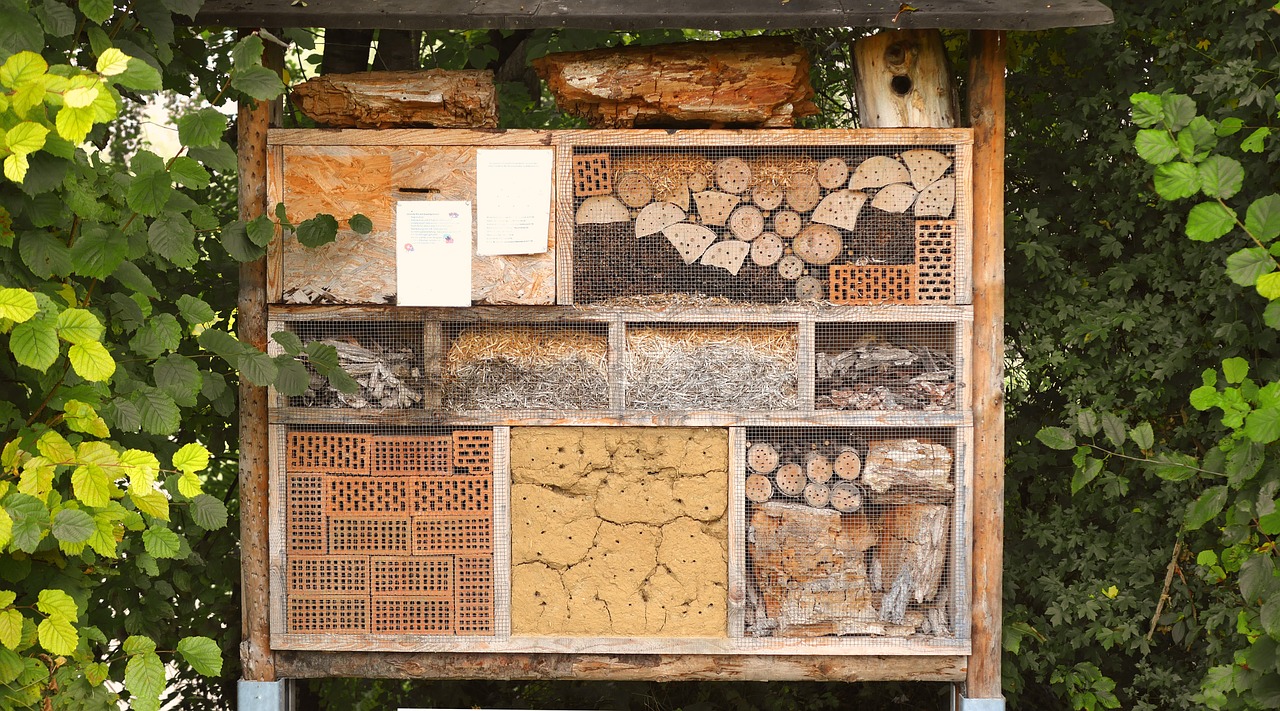 insect house nature conservation hibernate free photo