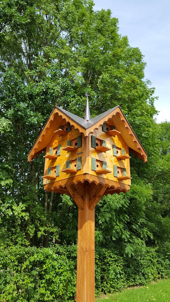 insect house nature nesting help free photo