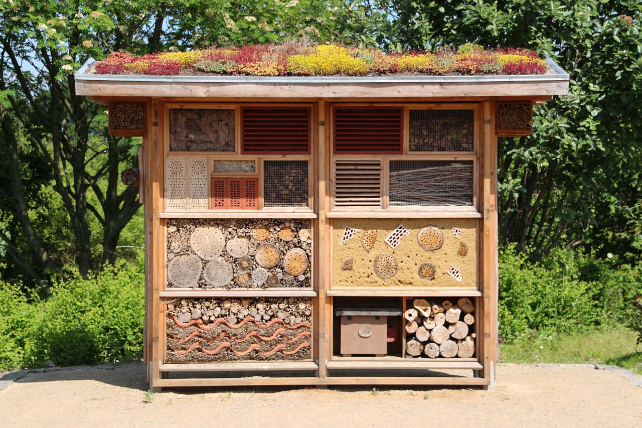 insect house hibernate wood free photo