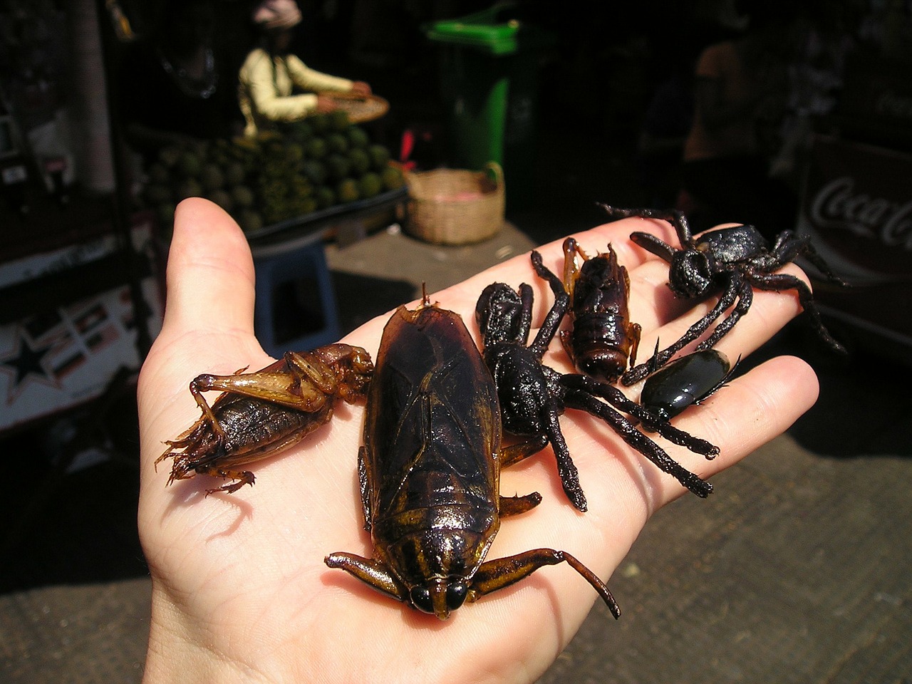 insect market cambodia fried free photo