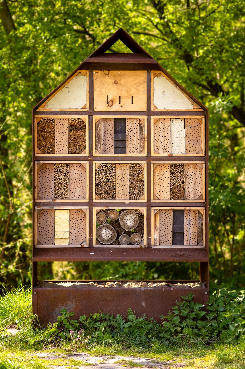 insects hotel  insects  hotel free photo