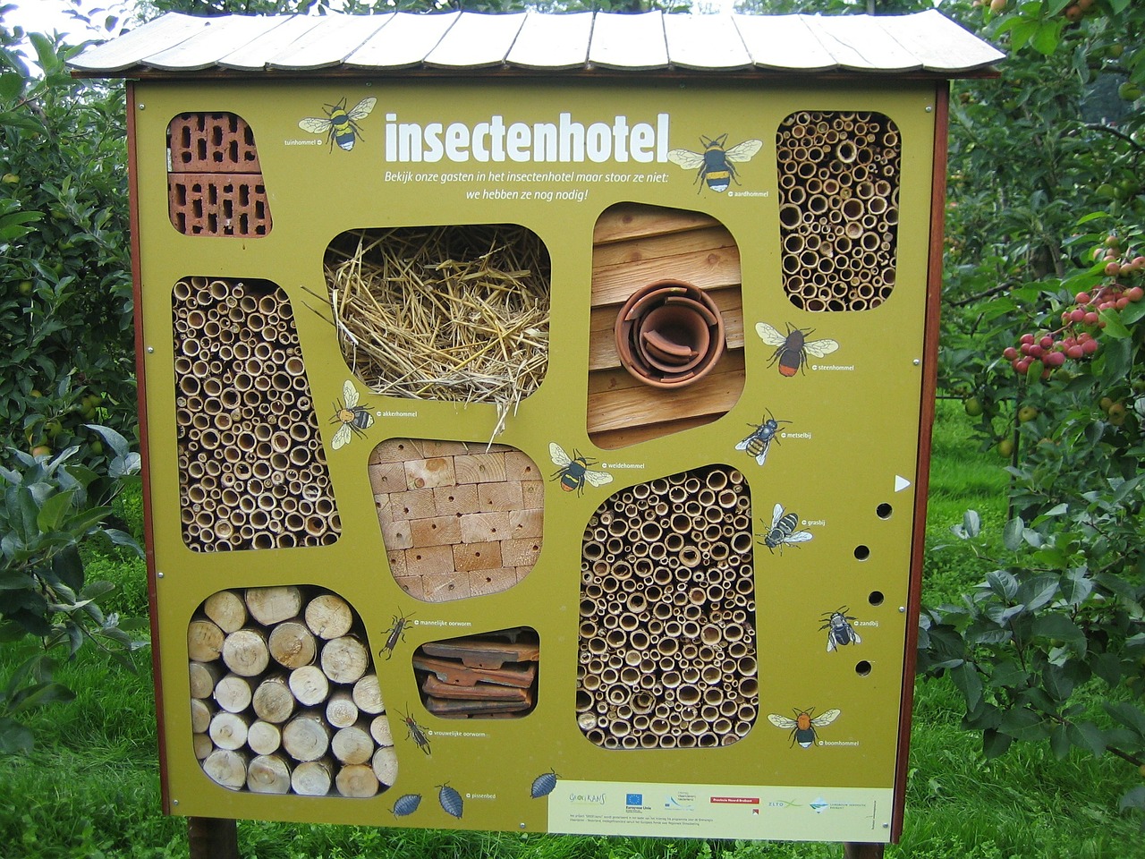 insects hotel bees nature free photo