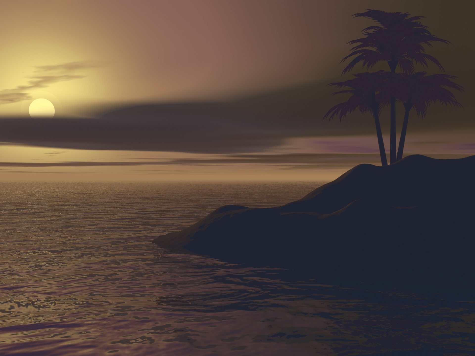 island palm sunset free photo