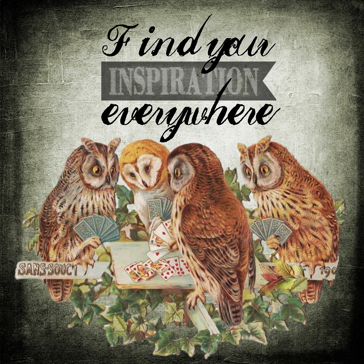 inspiration owls animal free photo
