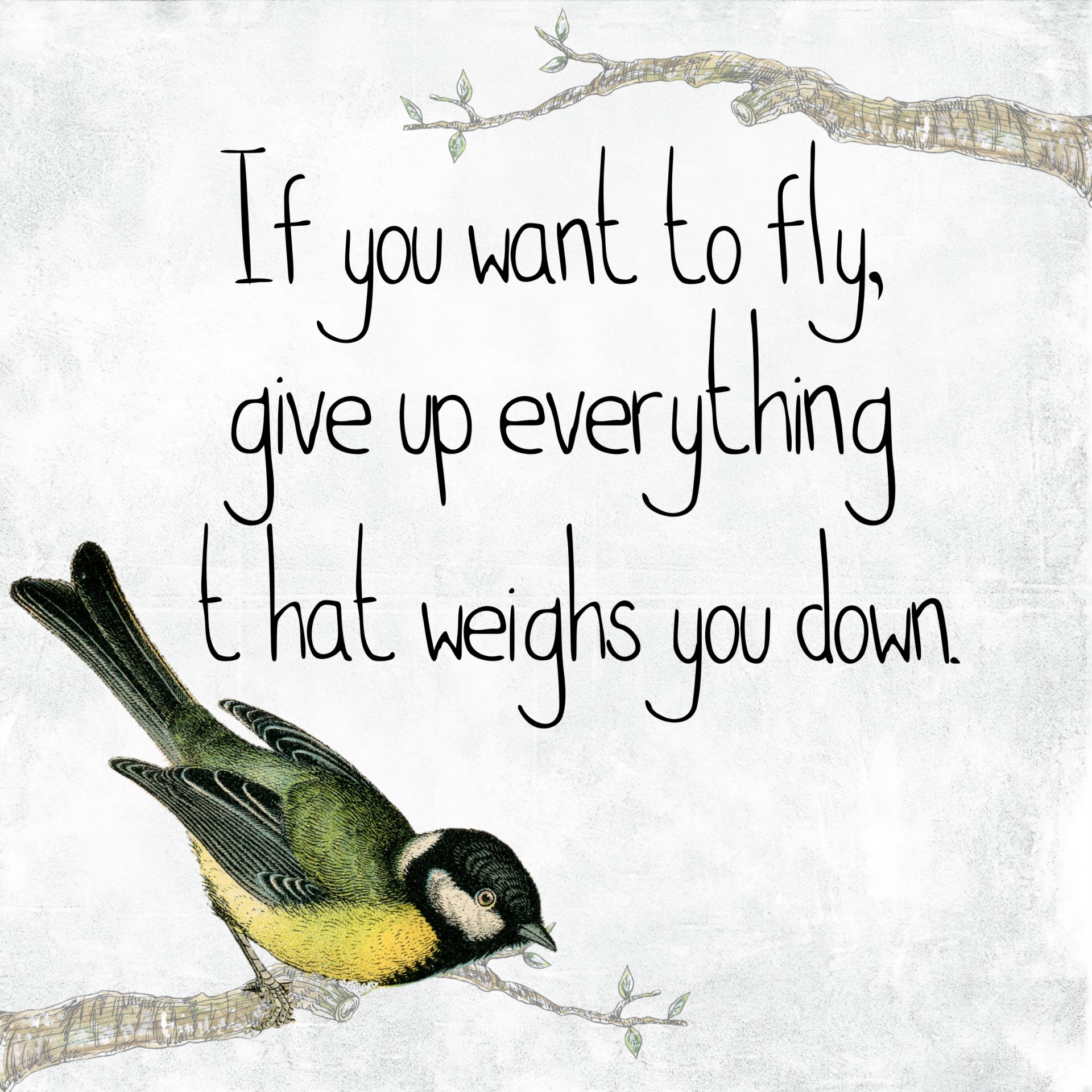 inspirational bird quote free photo
