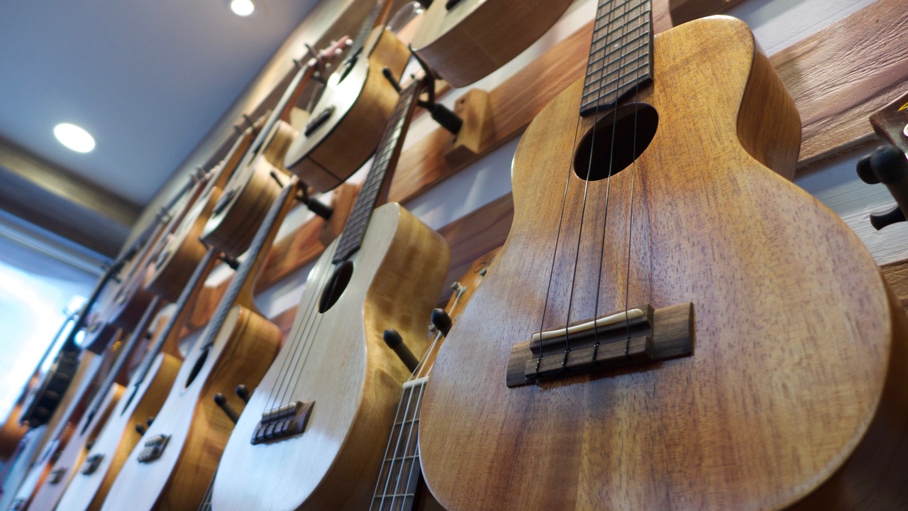 instrument ukulele music free photo