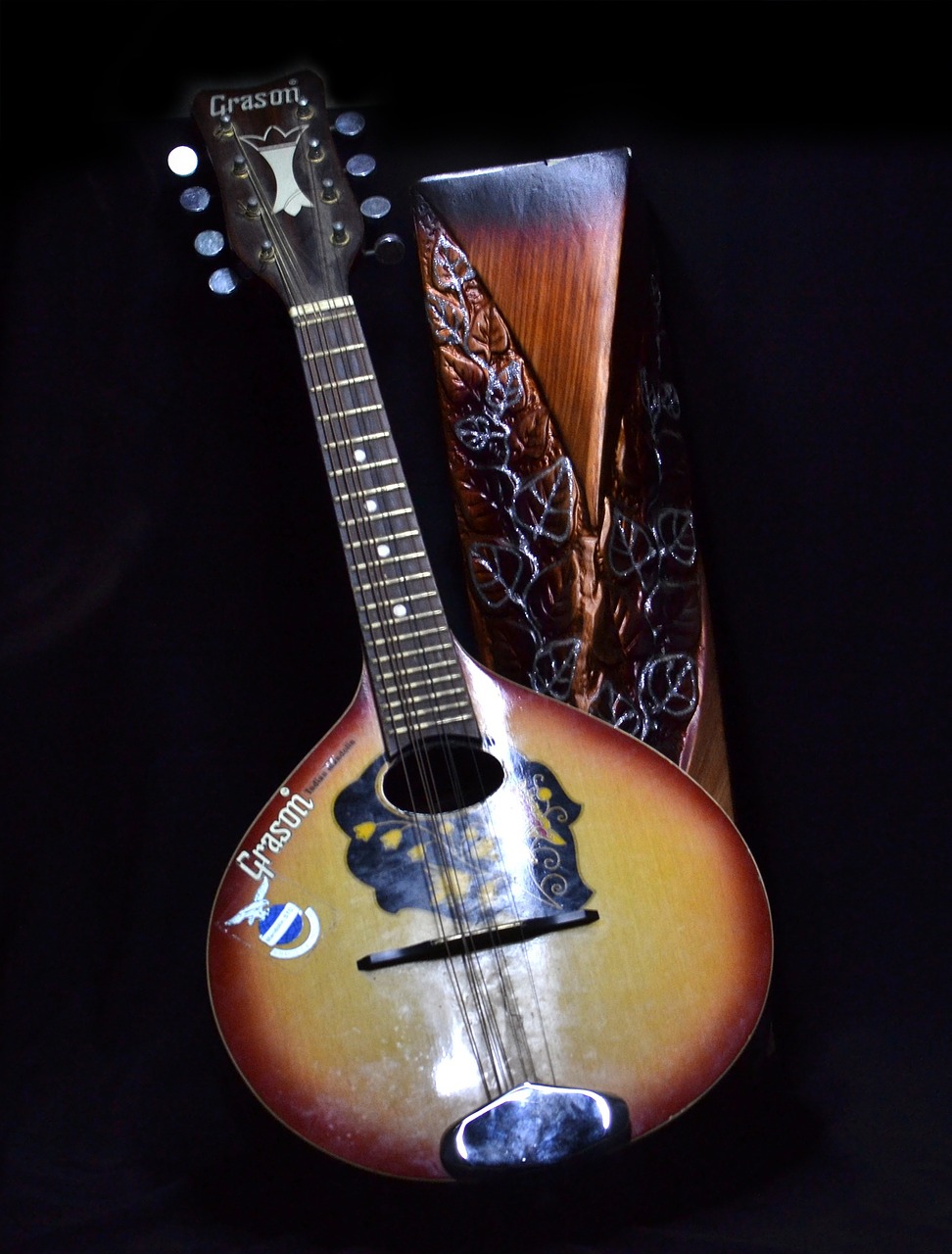 instrument mandolin musical instrument free photo