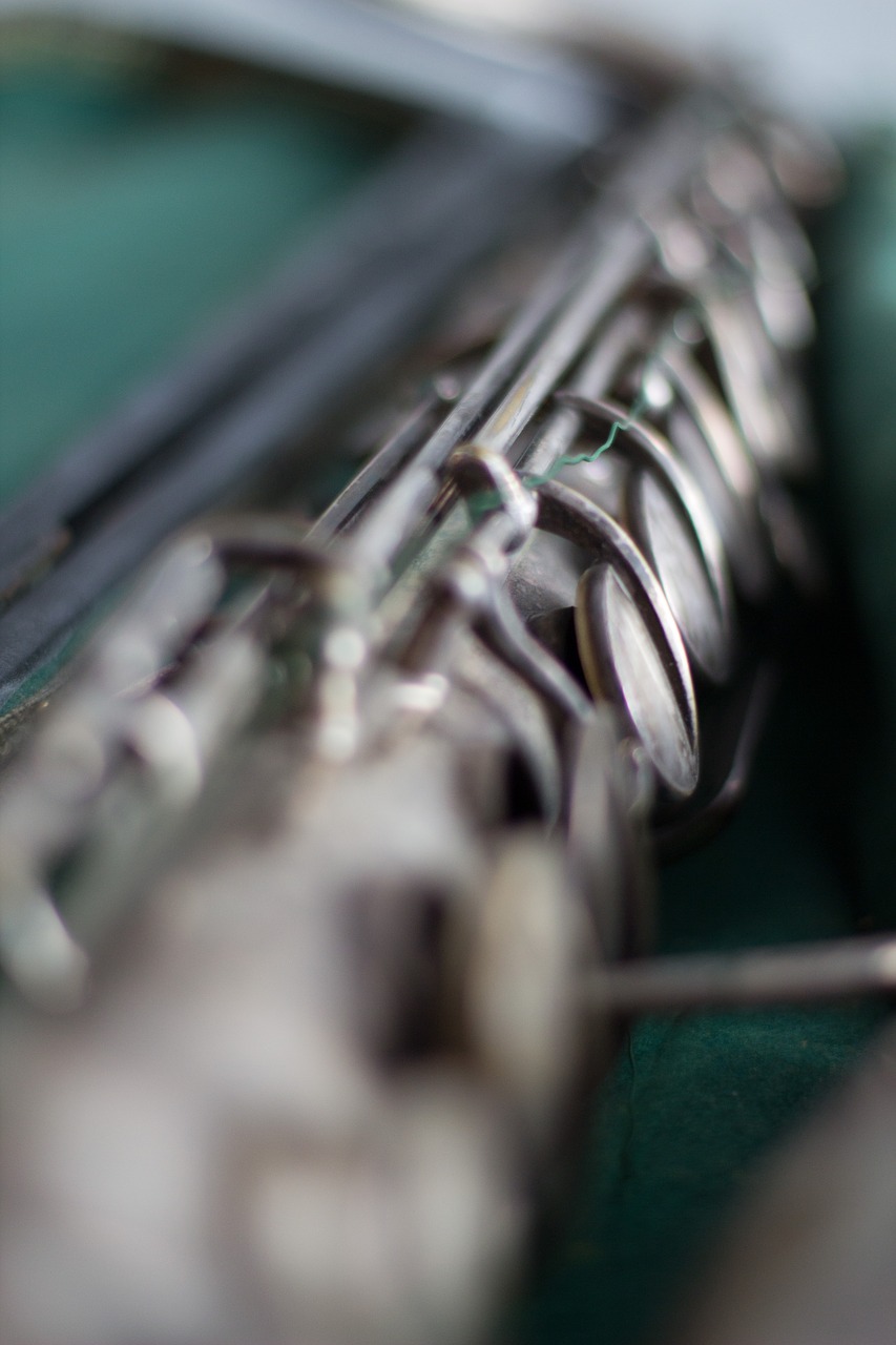 instrument clarinet music free photo