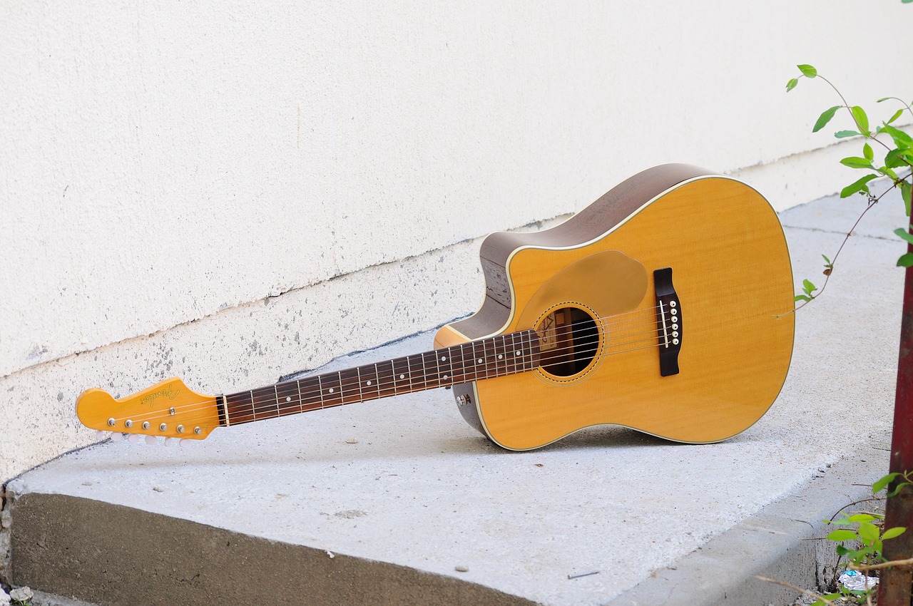 instrument  wood  guitar free photo