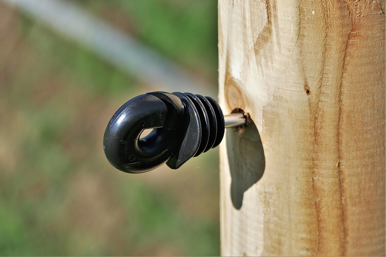 insulator  wooden posts  pasture fence free photo