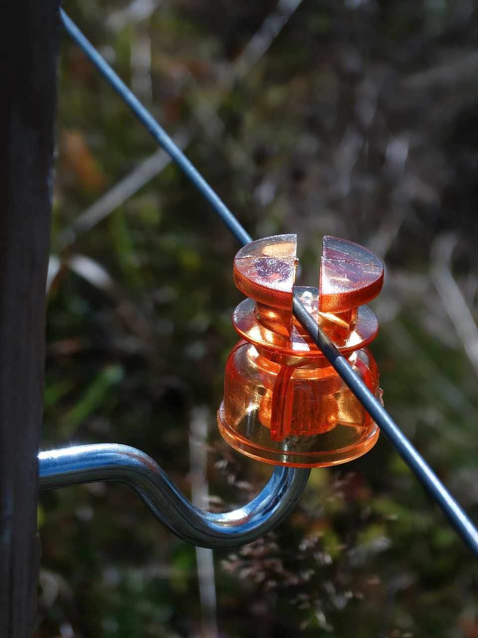 insulator cow fence cow wire free photo