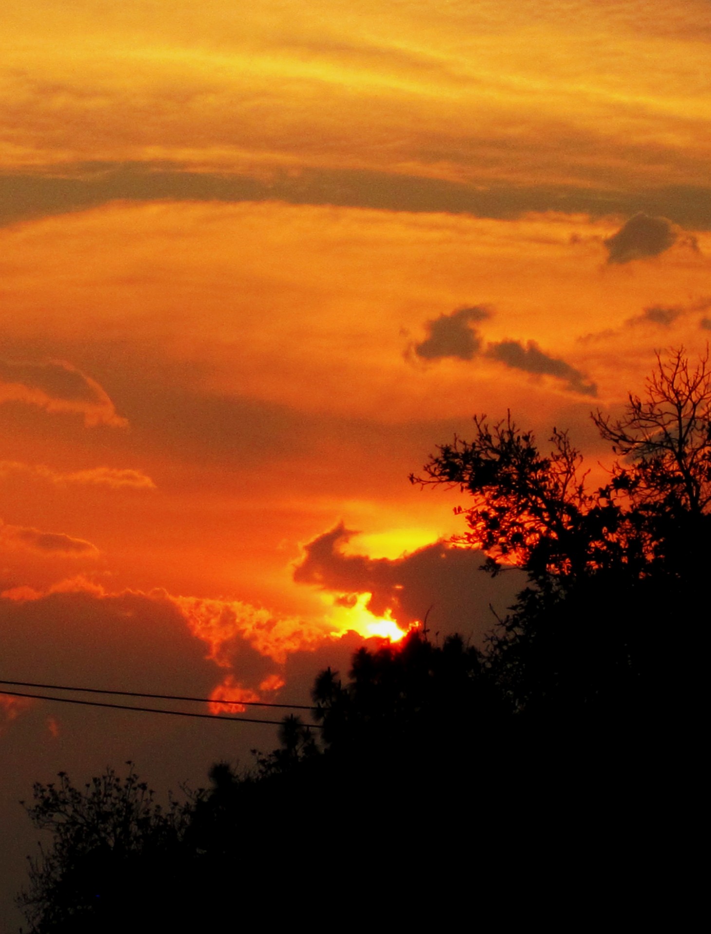 sunset glowing orange free photo