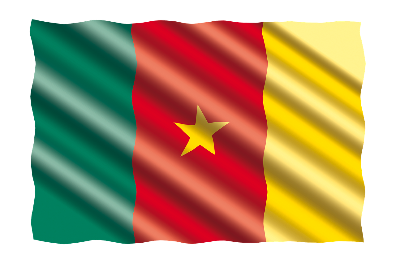 international flag cameroon free photo