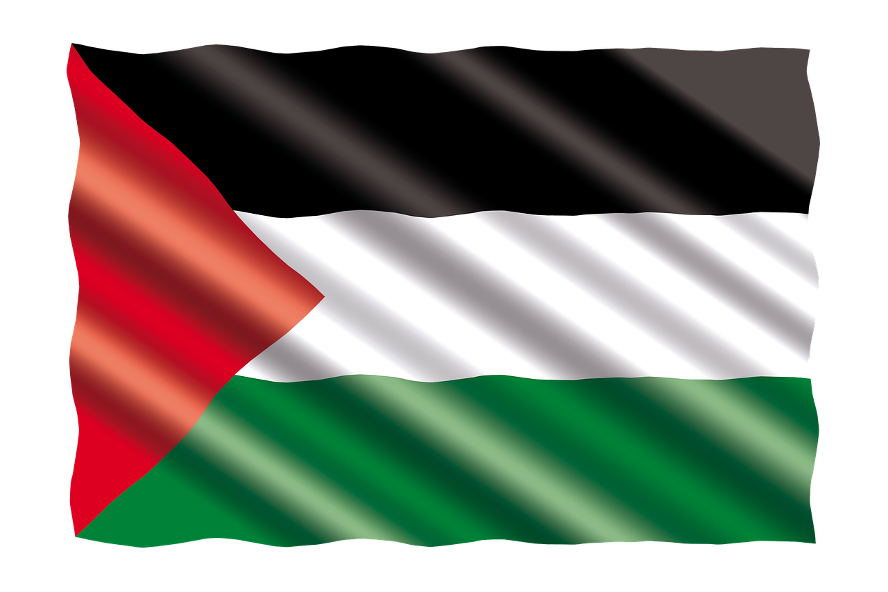 international flag palestine free photo