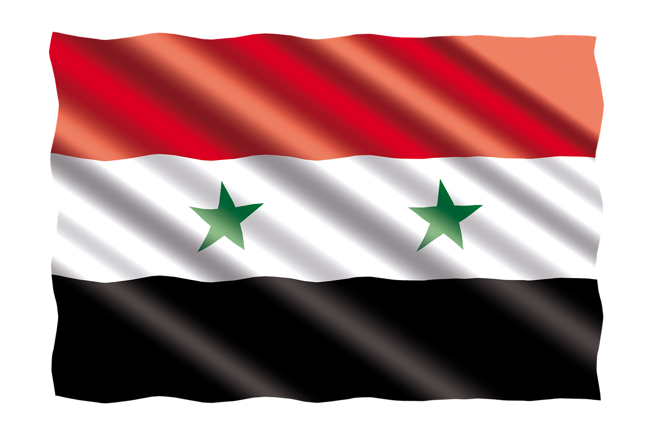 international flag syria free photo