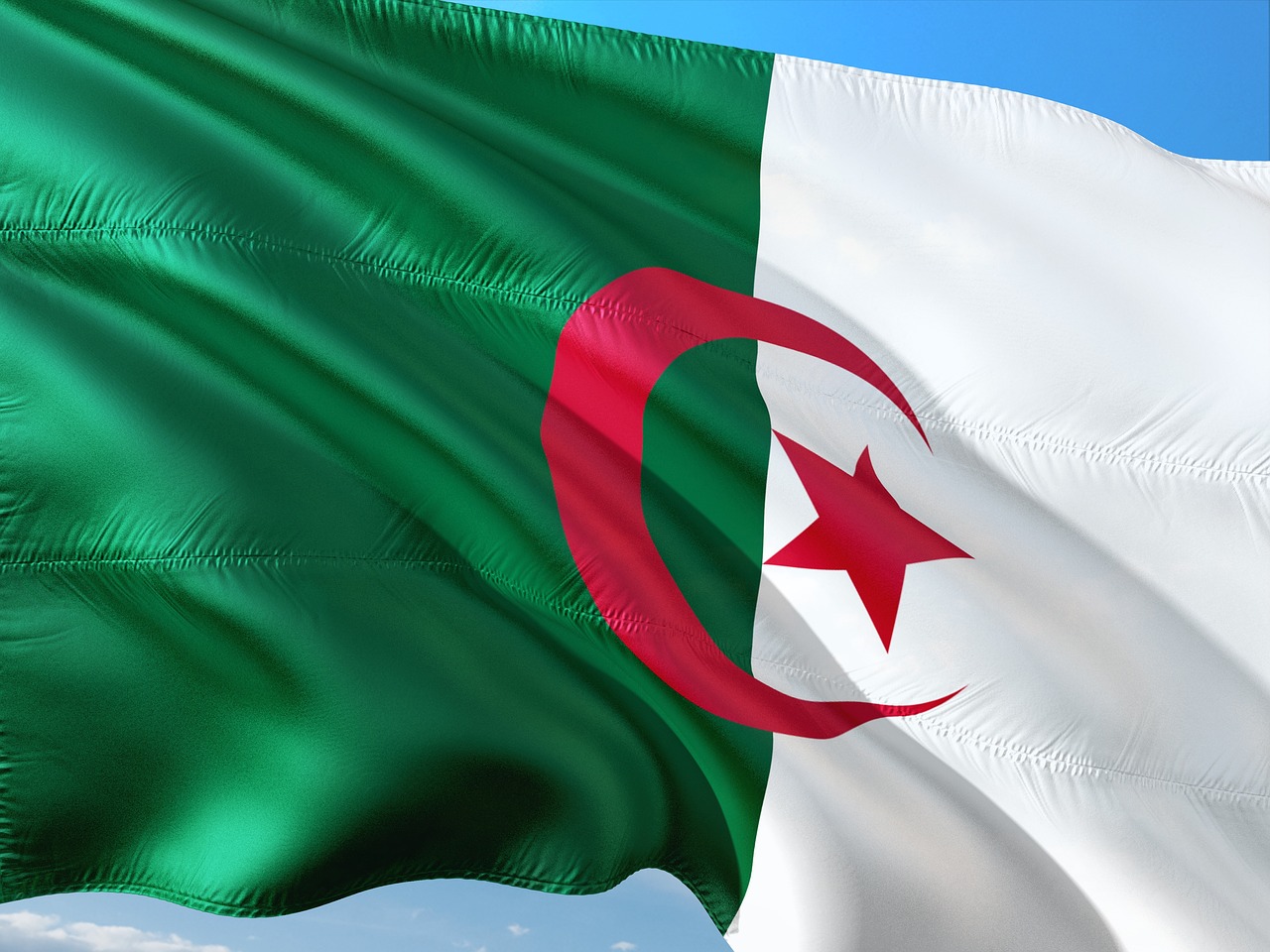 international flag algeria free photo