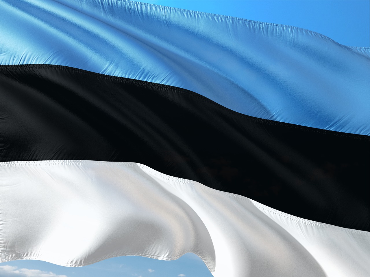 international flag estonia free photo
