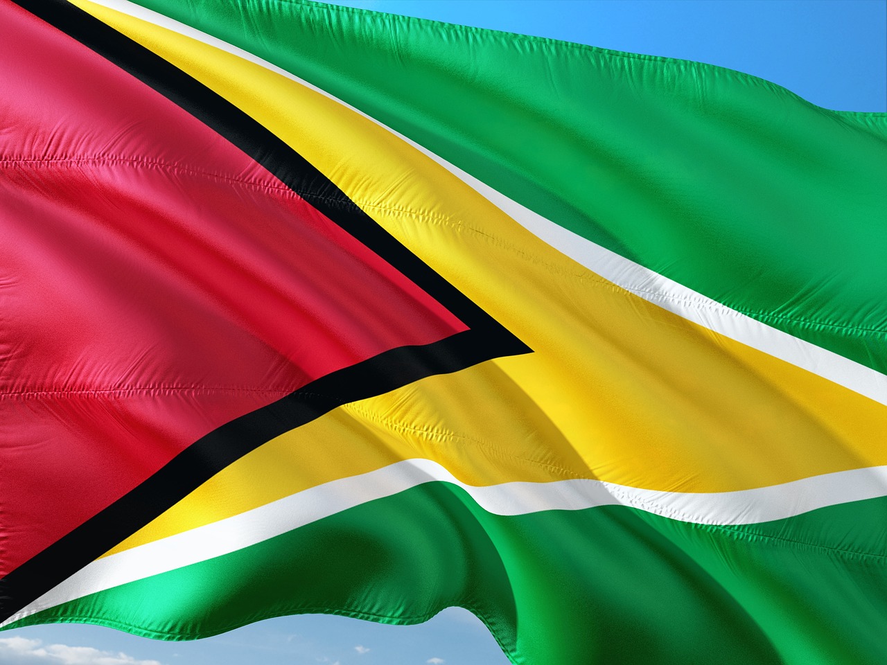 international flag guyana free photo