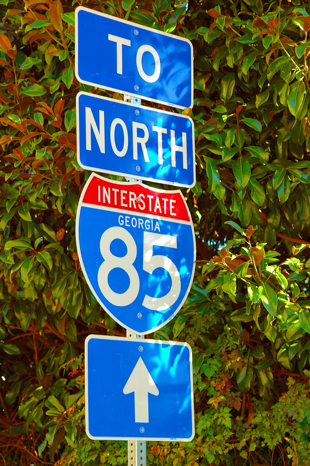 route sign sign interstate free photo