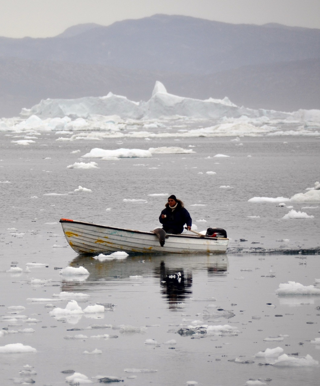 inuit robben hunter icefjord free photo