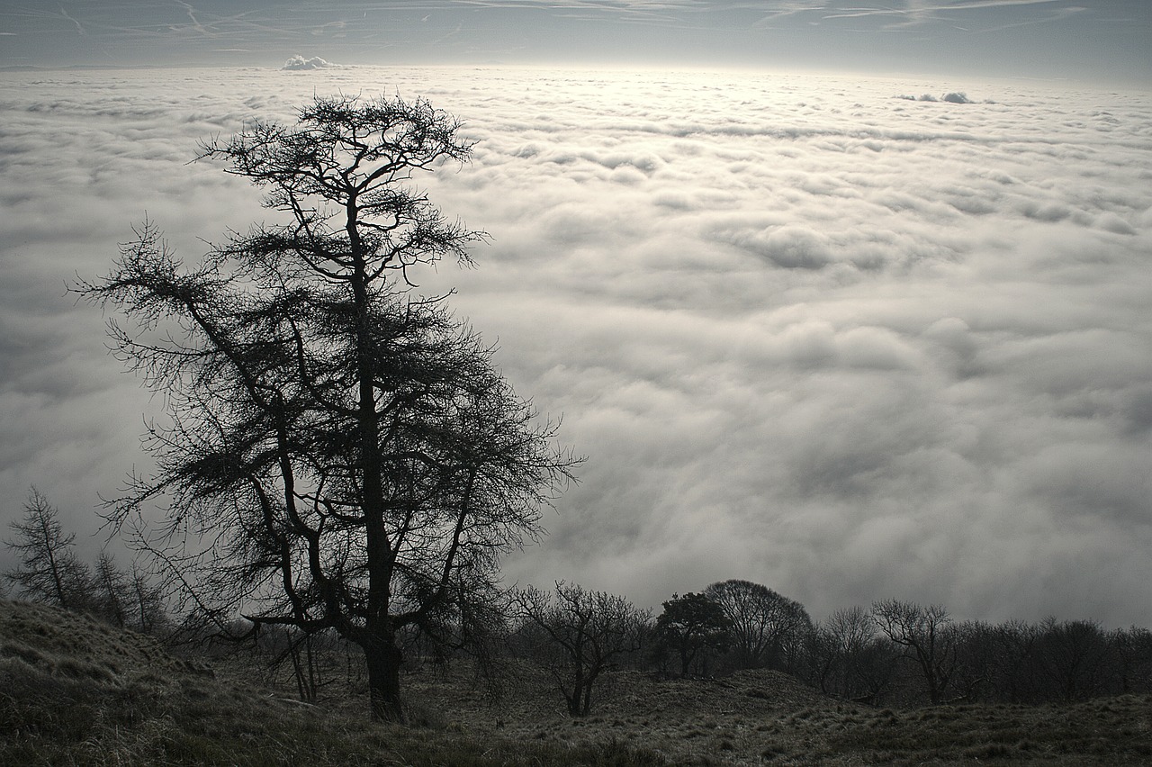 inversion  landscape  fog free photo