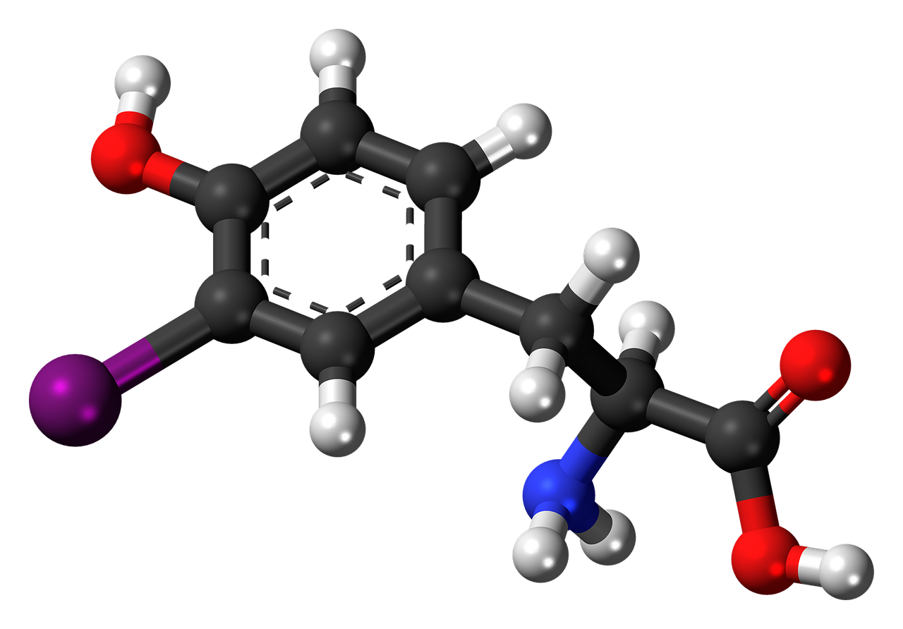 iodotyrosine molecule chemistry free photo