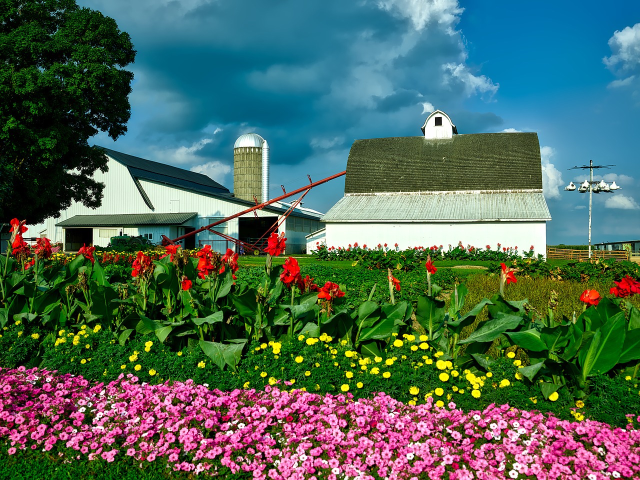 iowa farm barn free photo