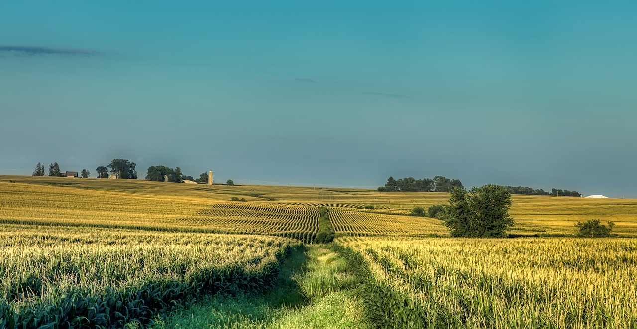 iowa  america  farm free photo