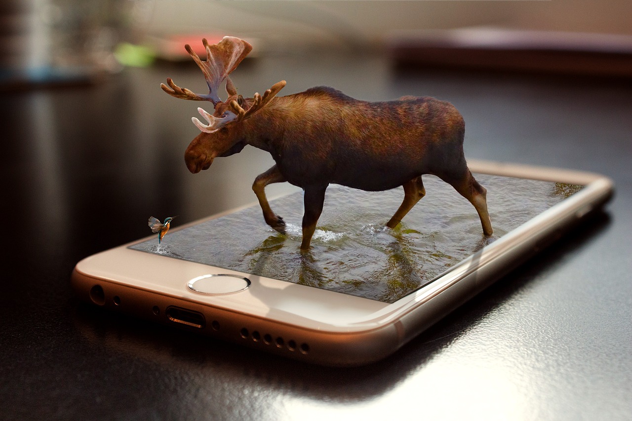 iphone moose retouch free photo