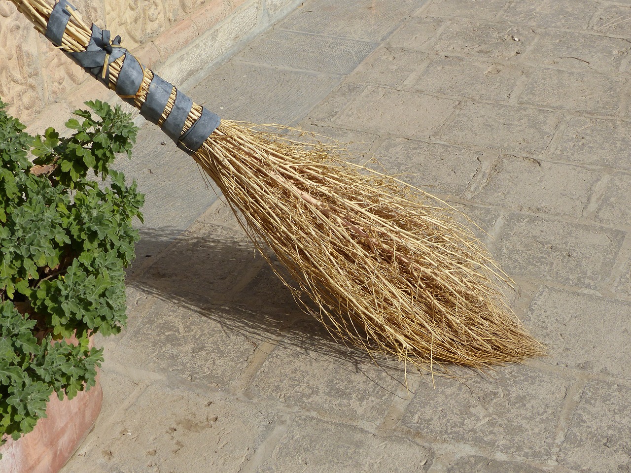 iran broom tiles free photo
