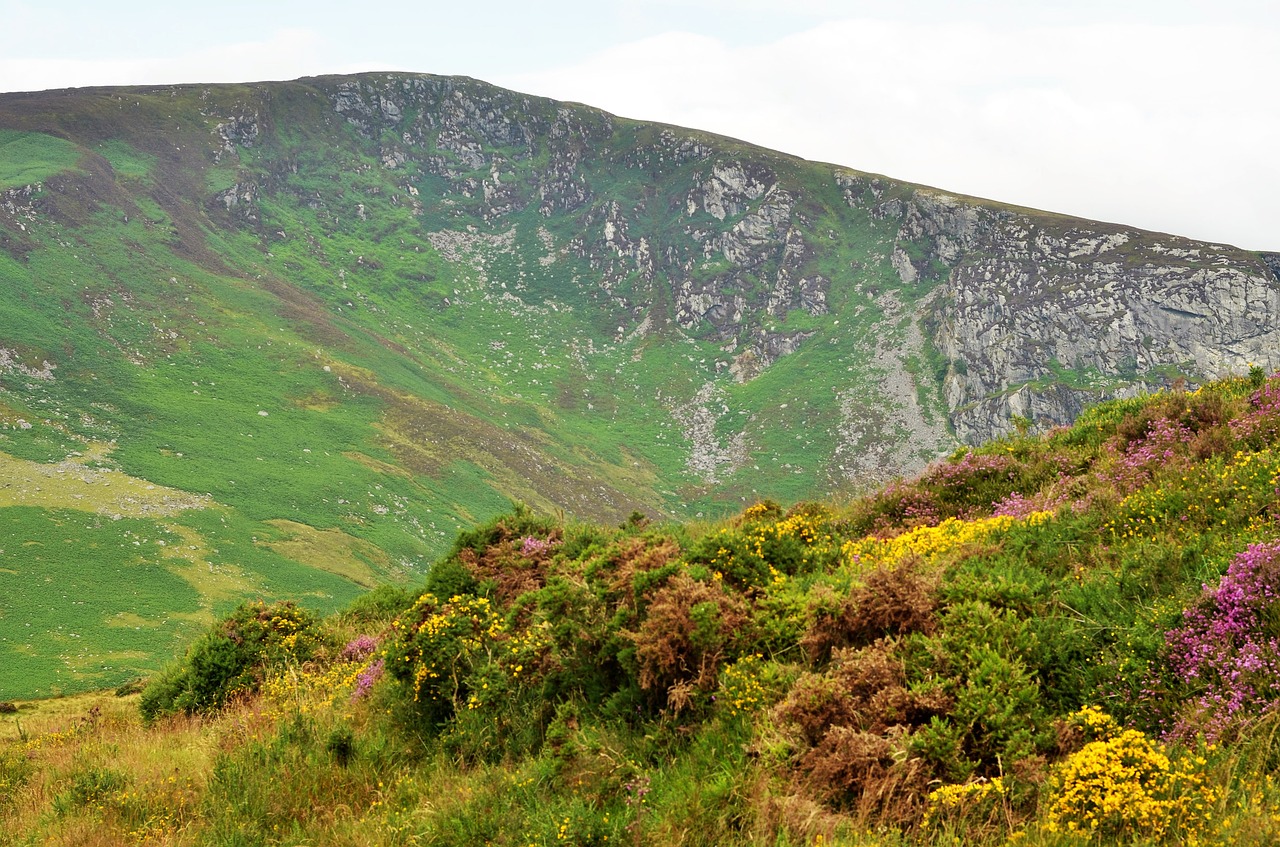 ireland land landscape free photo