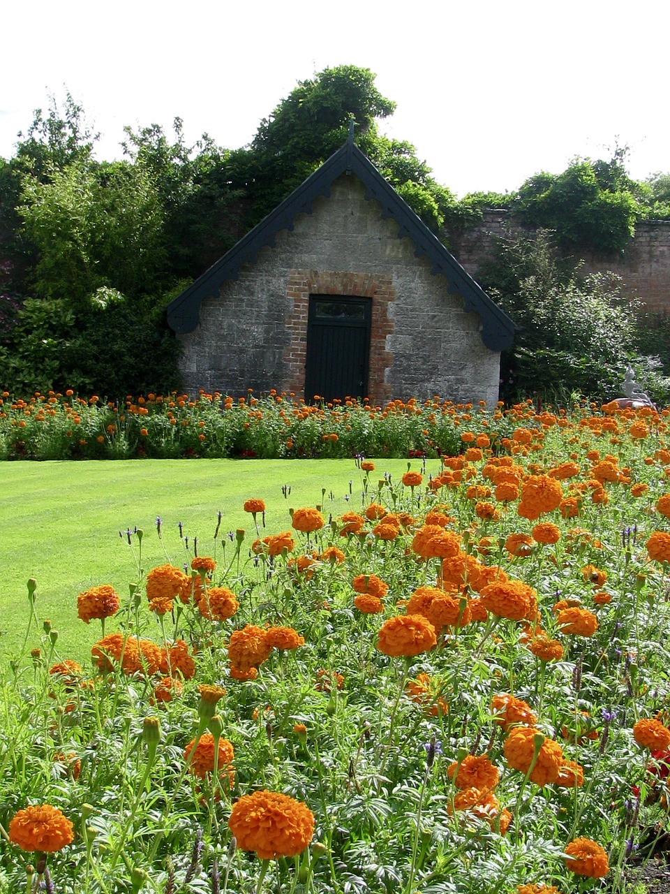 ireland castle garden free photo