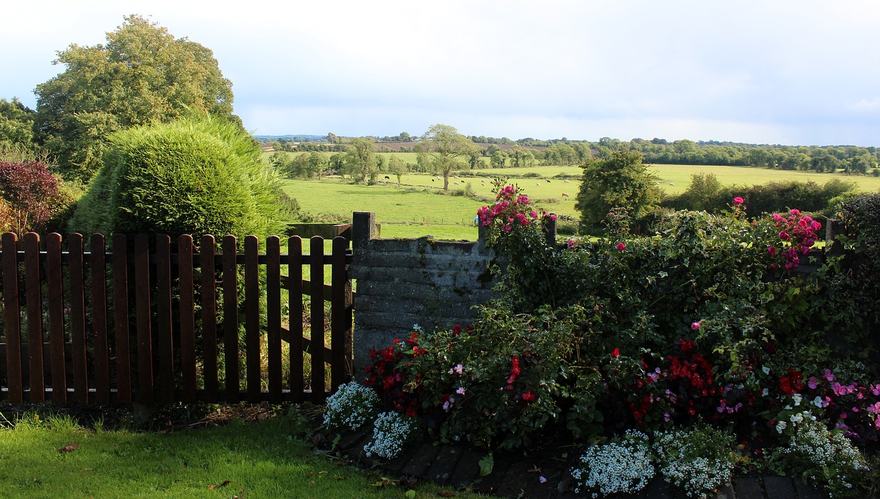 ireland scenery landscape free photo