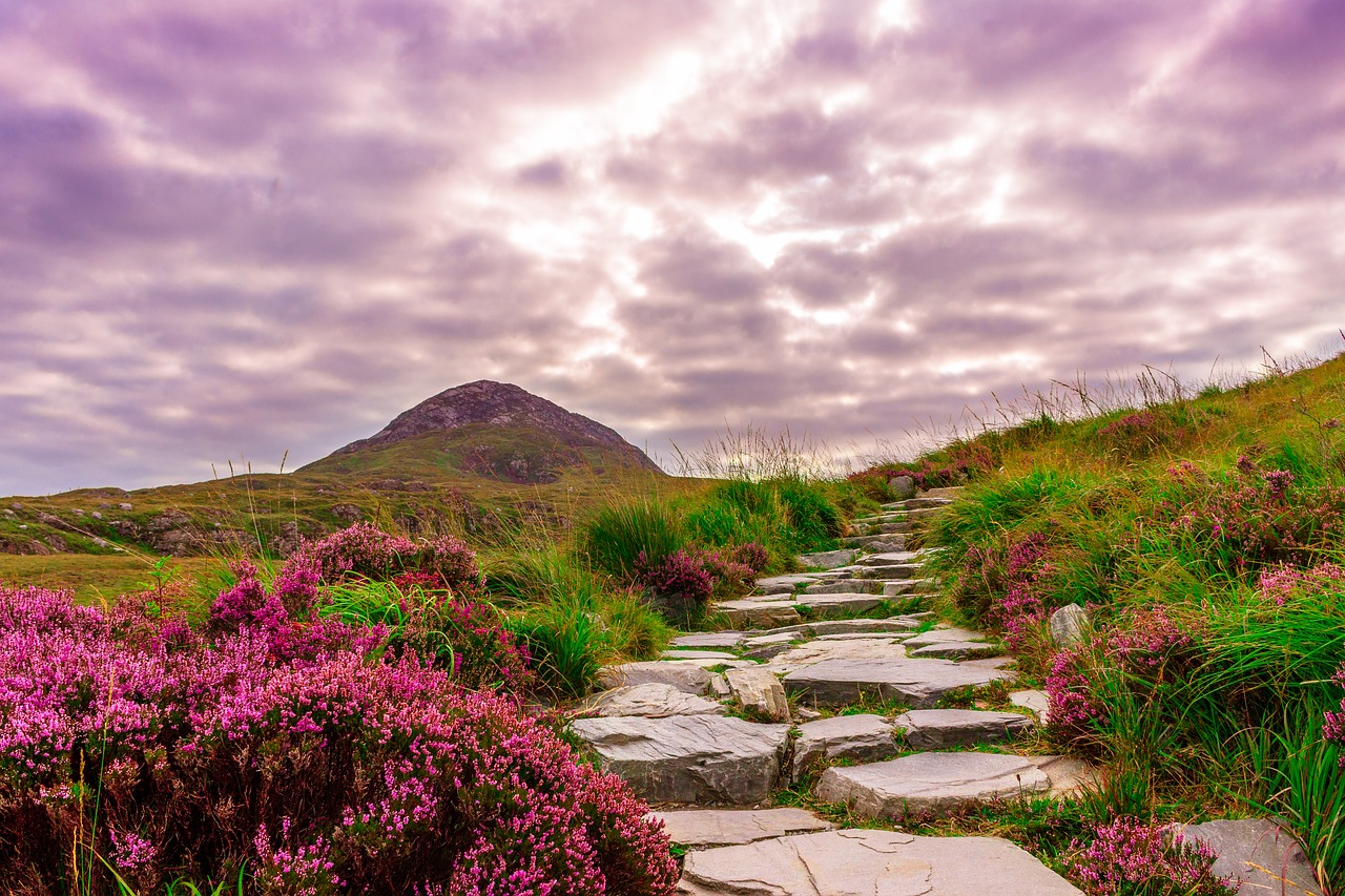 ireland national park hiking free photo