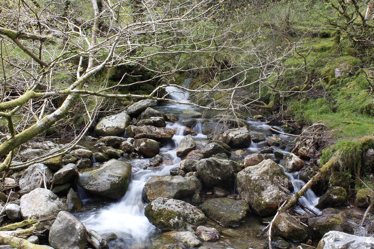 ireland wicklow glendalough free photo