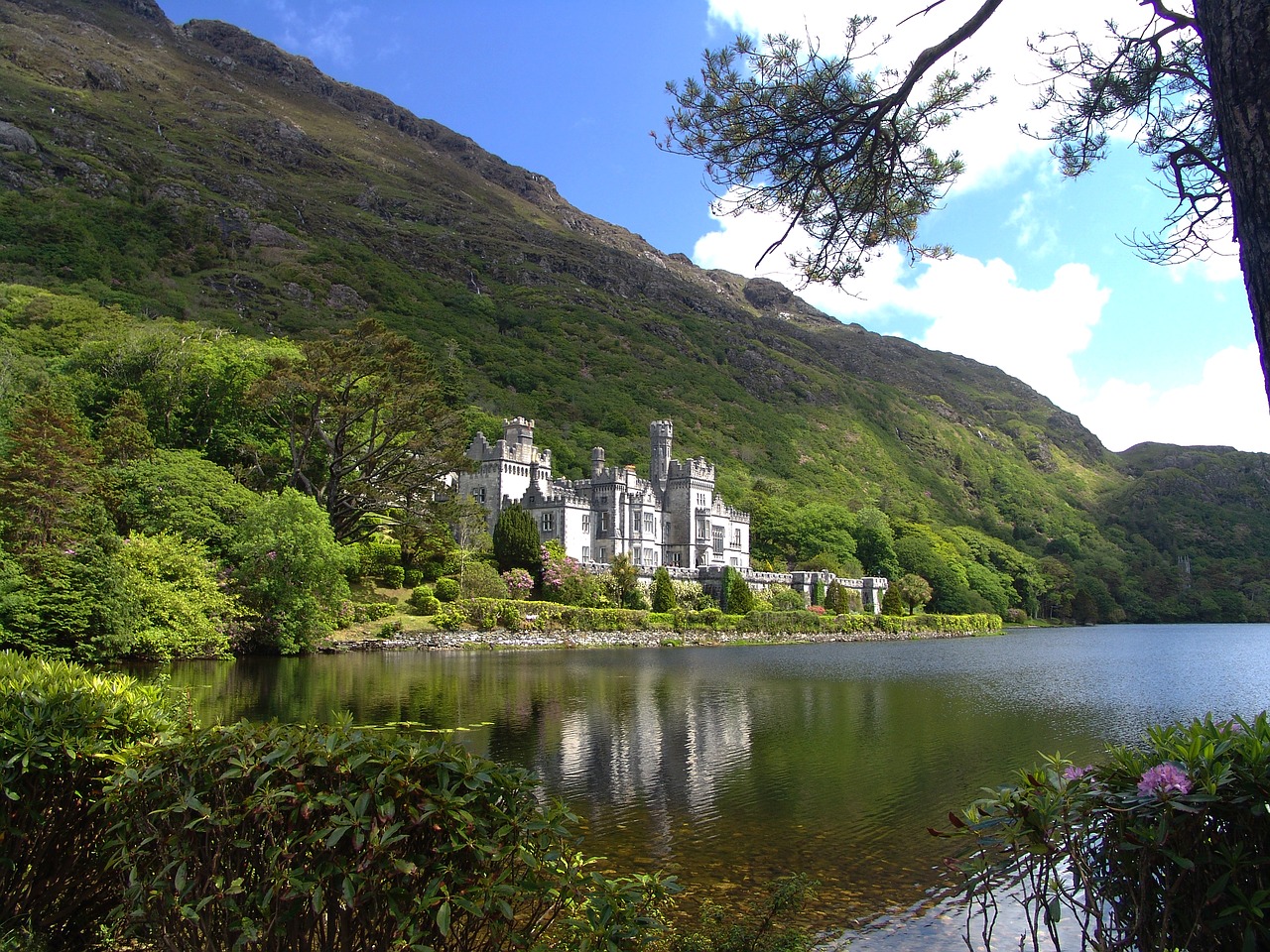 ireland castle nature free photo