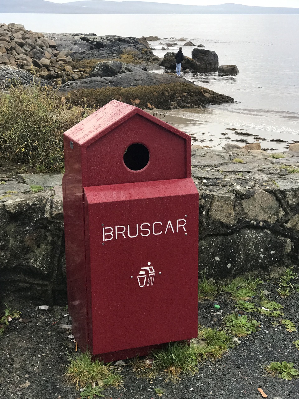 ireland summer coast free photo