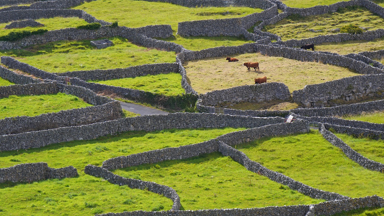 ireland stone wall green free photo