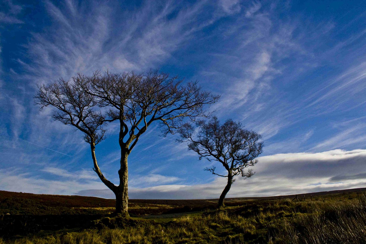 ireland  countryside  eire free photo