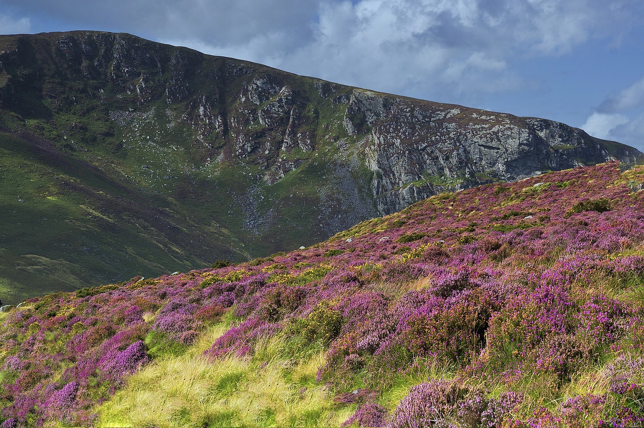 ireland  countryside  eire free photo