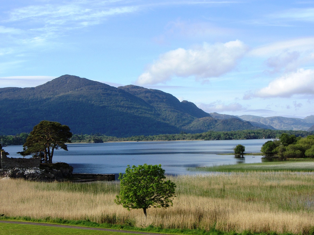 ireland  killarney  national park free photo