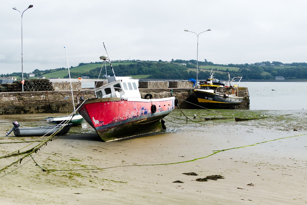 ireland  ship  old free photo