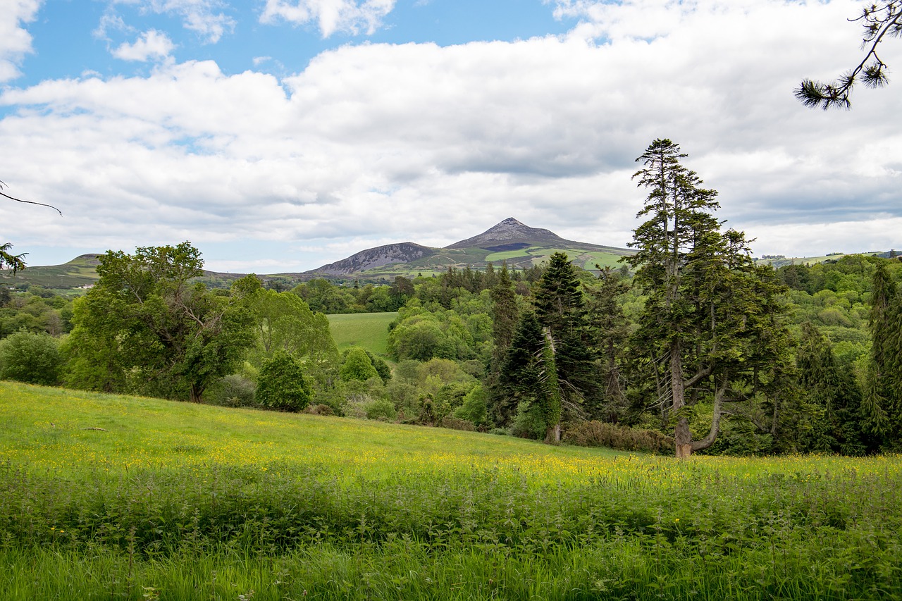 ireland  wicklow  nature free photo