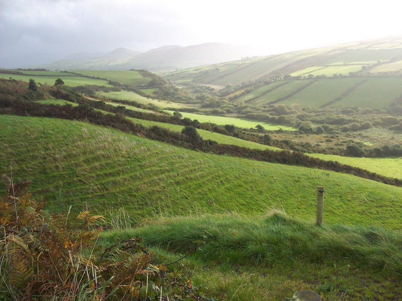 ireland field pasture free photo