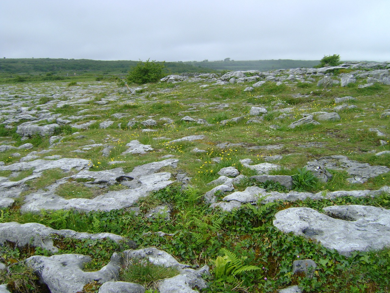 ireland rocky ground free photo