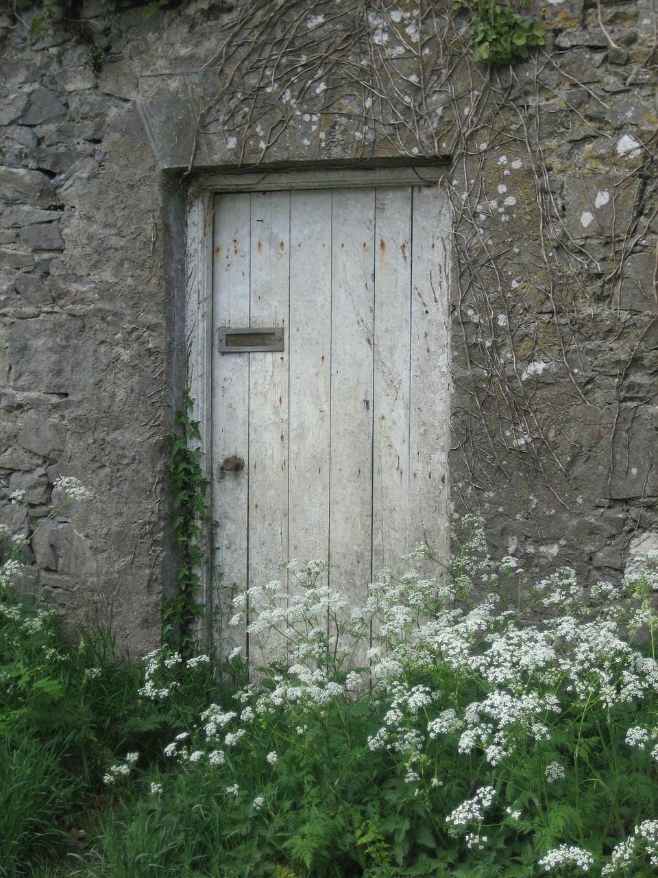 ireland door wall free photo
