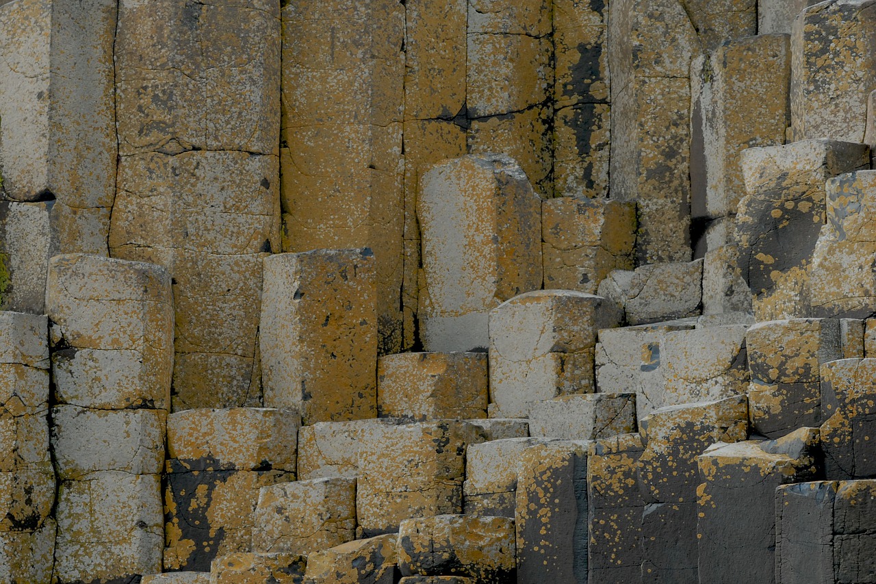 ireland giant causeway stones free photo