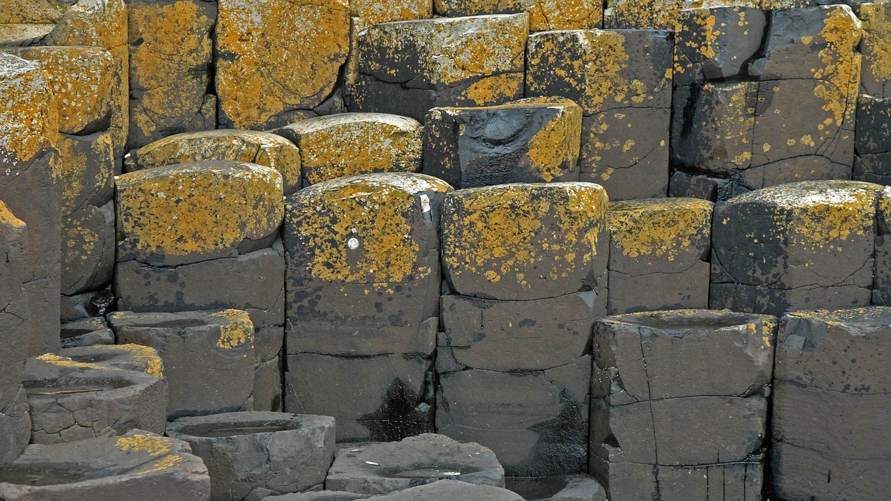 ireland giant causeway stones free photo