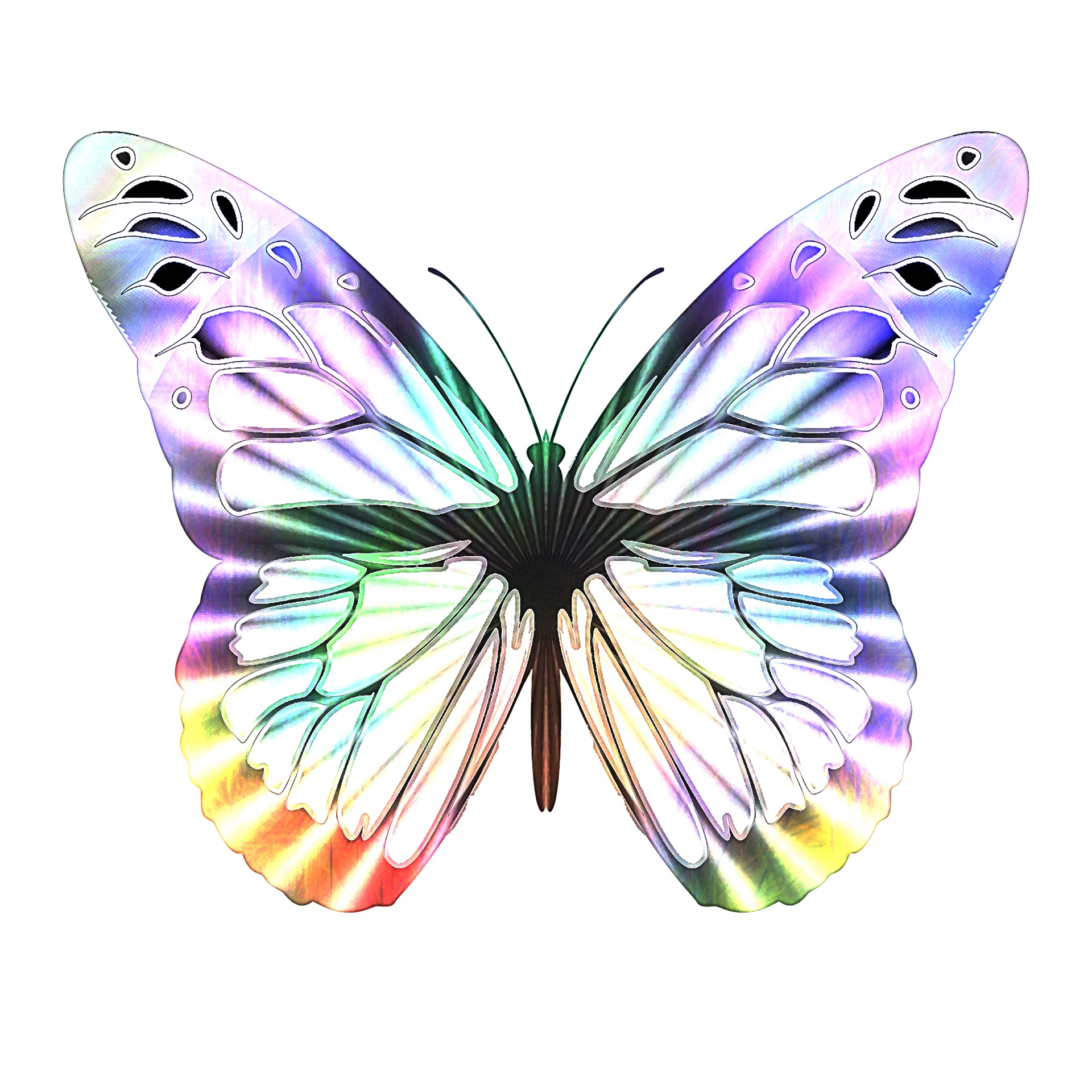 butterfly butterflies stained glass free photo